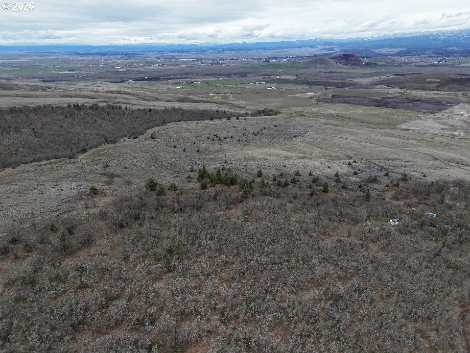167 COLUMBIA HILLS LN Lot 44