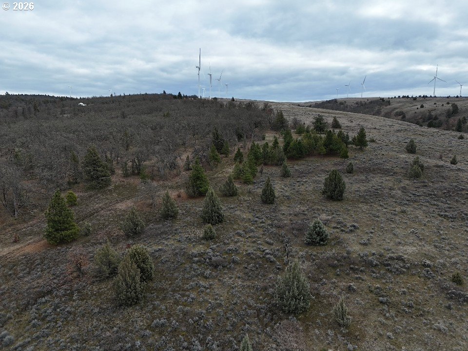 167 COLUMBIA HILLS LN Lot 44