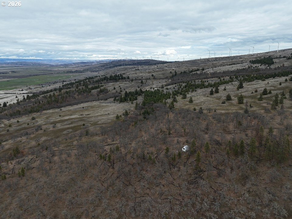 167 COLUMBIA HILLS LN Lot 44