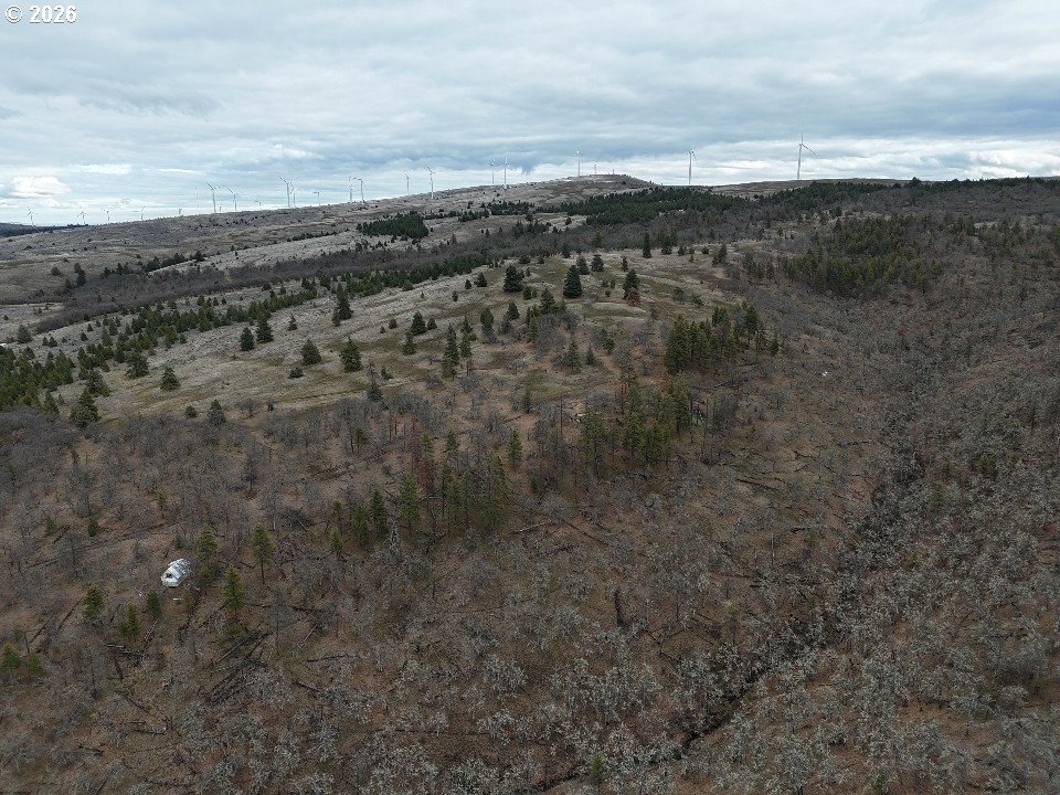 167 COLUMBIA HILLS LN Lot 44