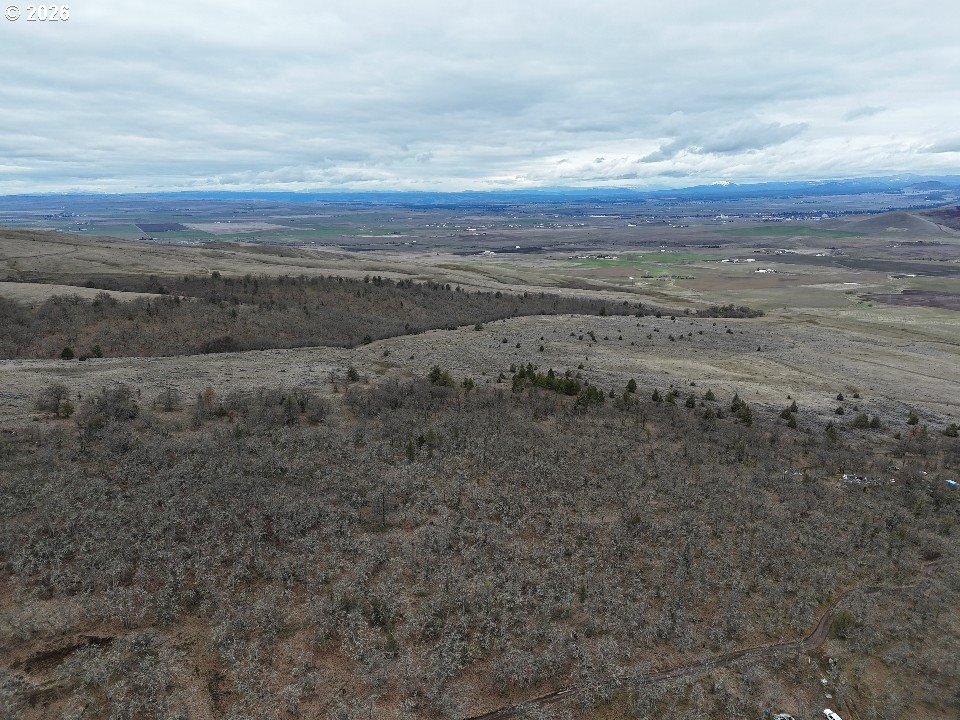 167 COLUMBIA HILLS LN Lot 44