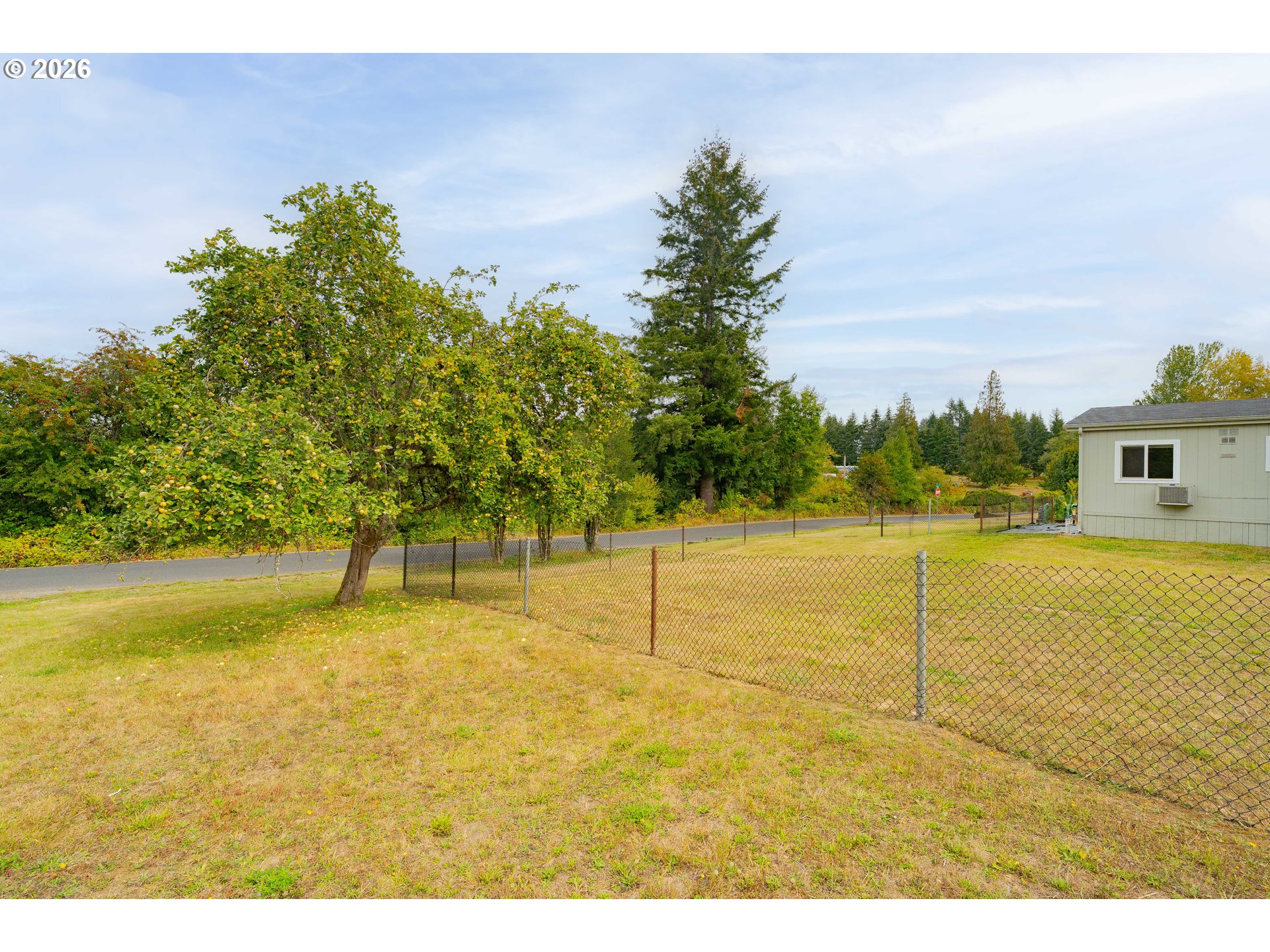 Residential yard with a chain-link fence, mature trees, and part of a light-colored building.