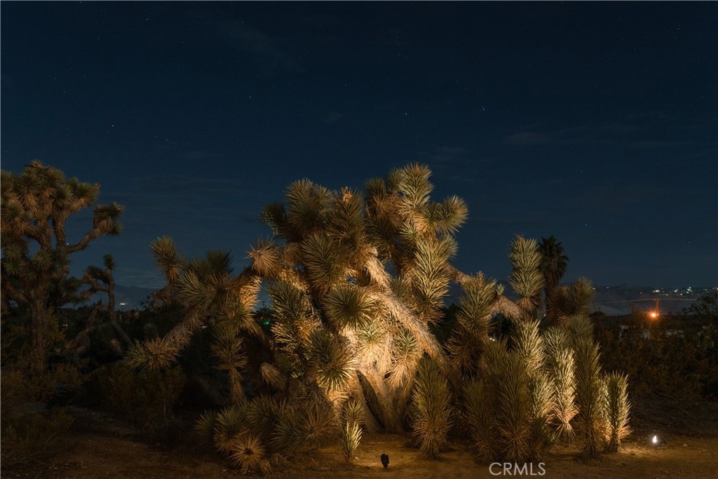 7728 Victor Vista Ave