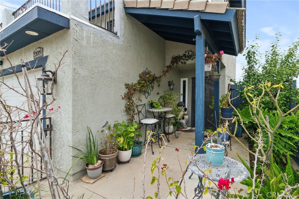 33019 Buena Vista Street