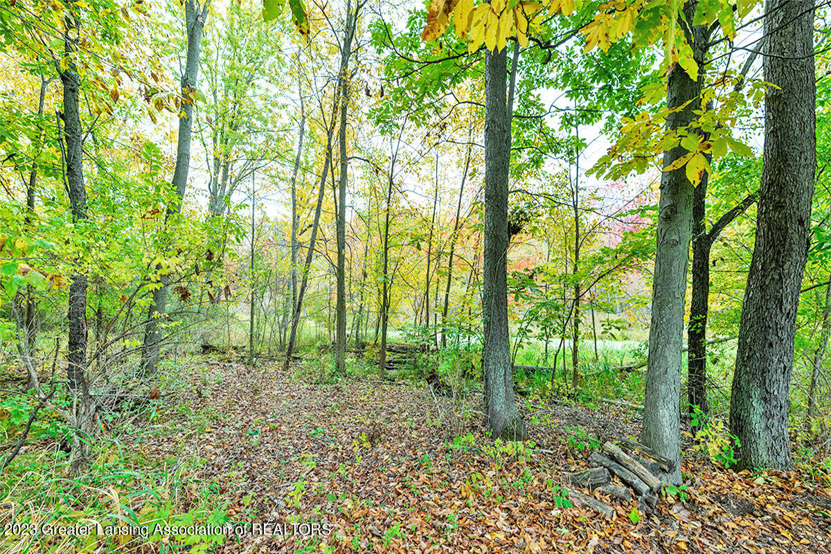 2451 White Pine Drive