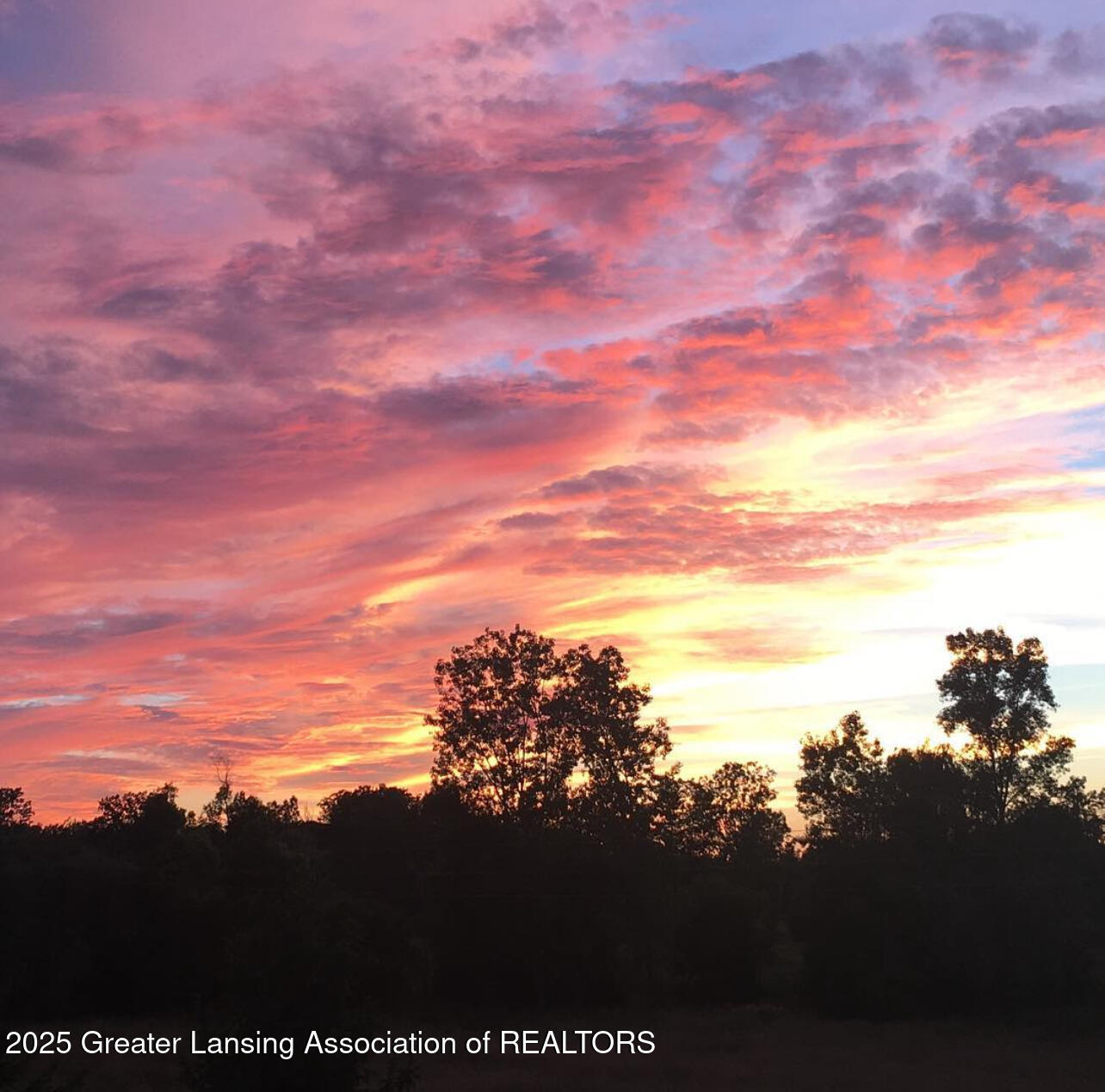 736 Pine Meadow Lane