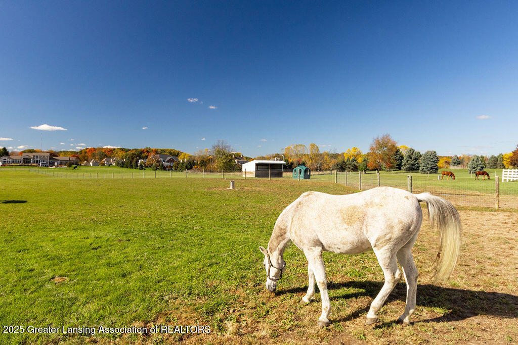 3811 Meridian Road