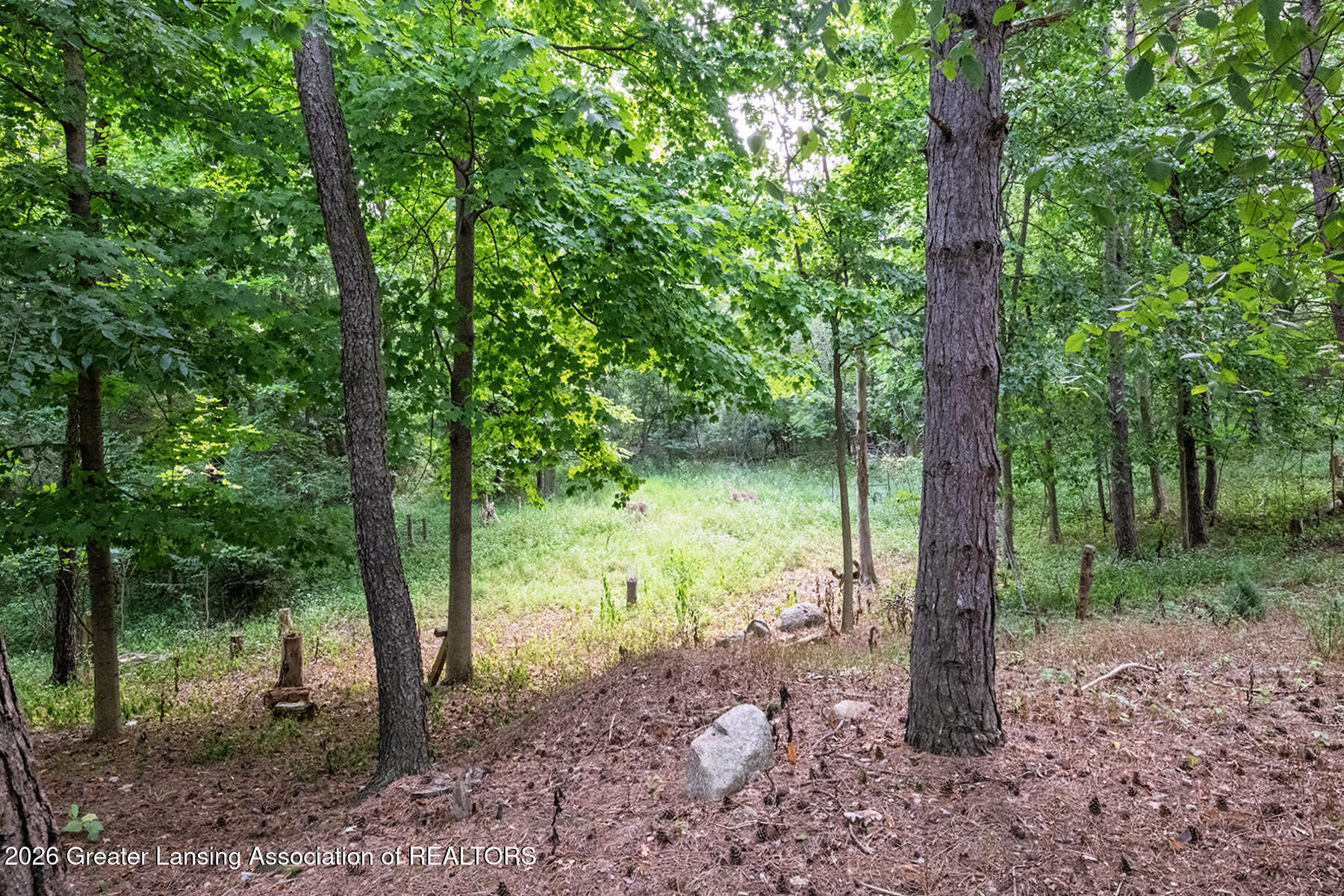 1820 Snedecker Road