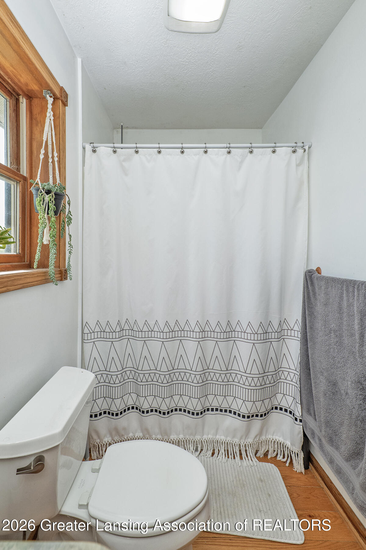 Bathroom with a patterned shower curtain, wood-trimmed window, and hanging plant.