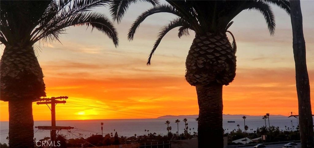 115 E Avenida De Los Lobos Marinos