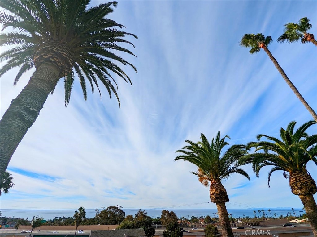 115 E Avenida De Los Lobos Marinos