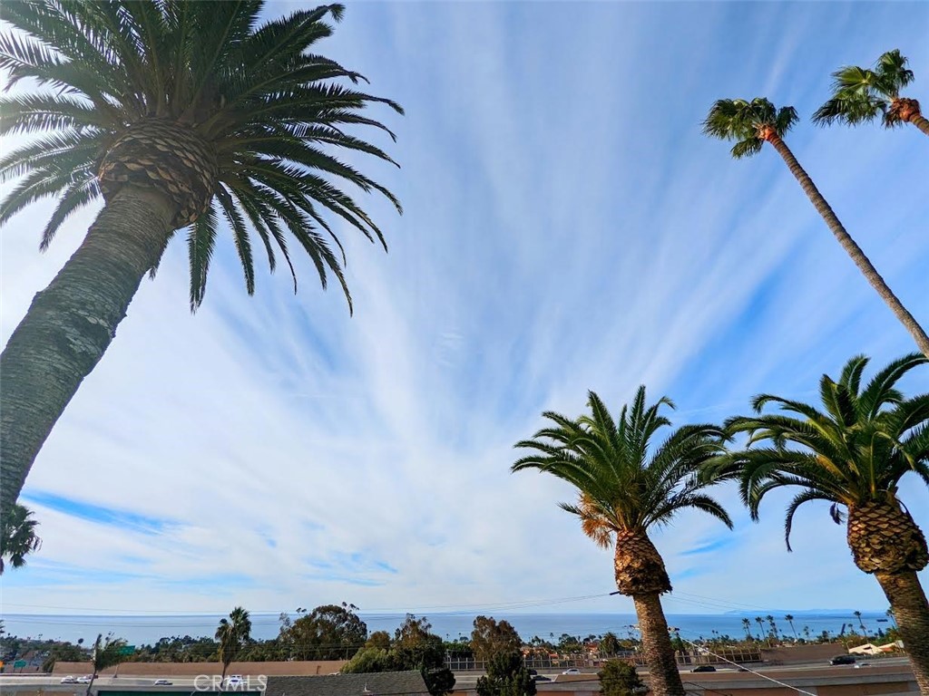 115 E Avenida De Los Lobos Marinos