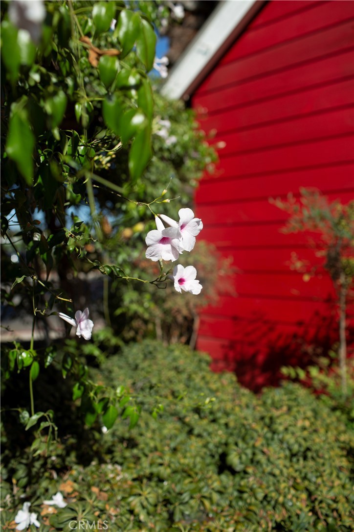 2245 Via Mariposa E B