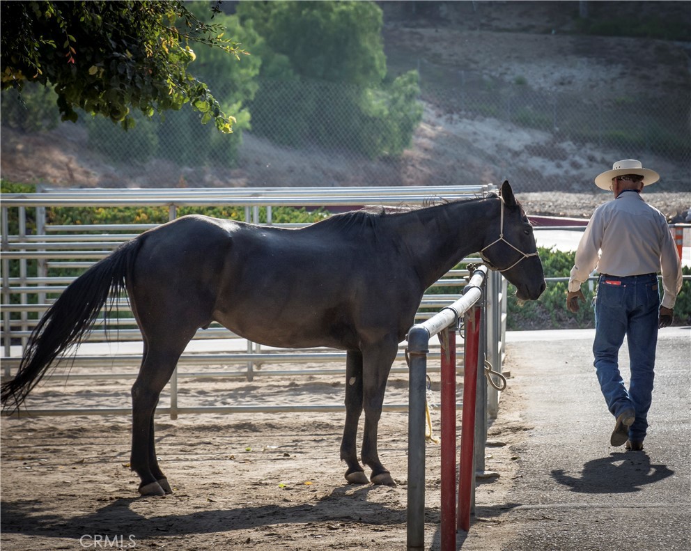 2245 Via Mariposa E B