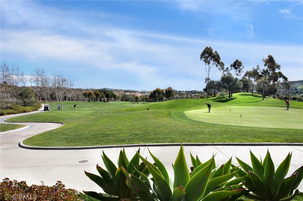 458 Camino Flora Vista