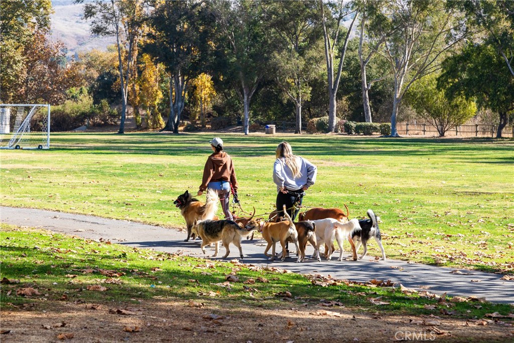 28001 Paseo Barranca