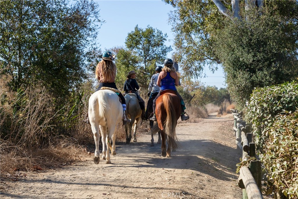 28001 Paseo Barranca