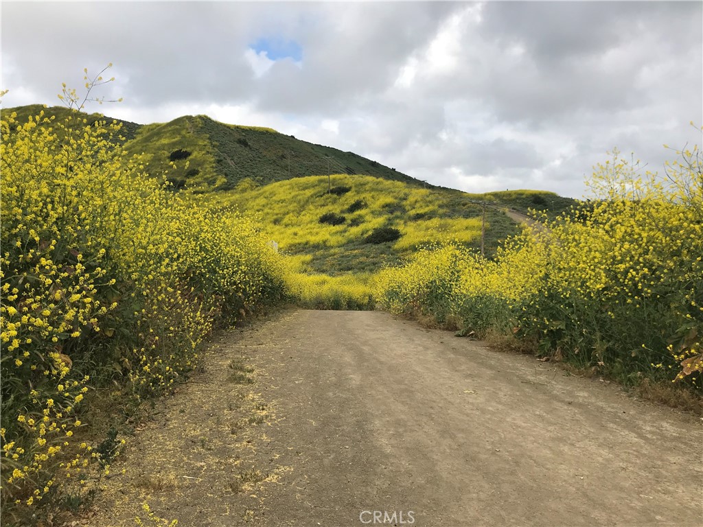 31472 Paseo Diosa