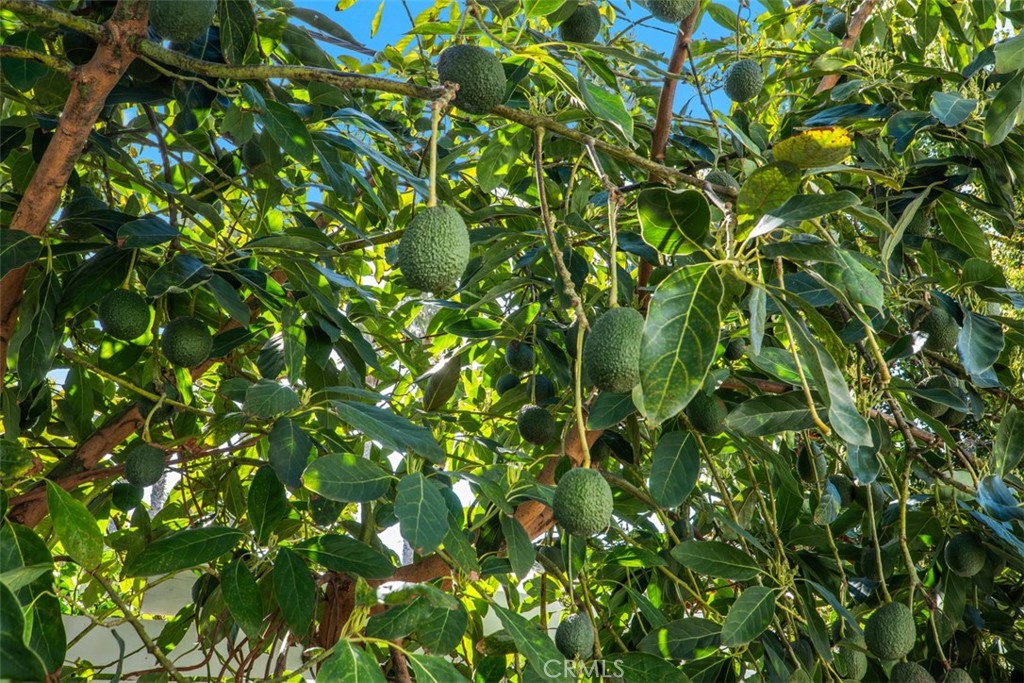 34361 Camino El Molino