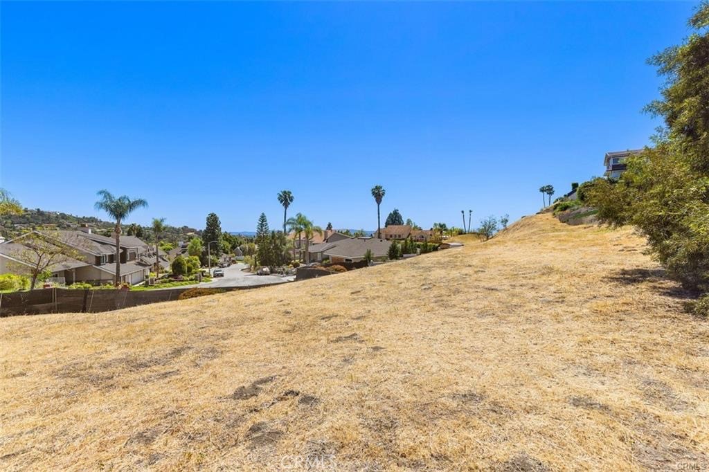 13131 Lemon Leaf Lane