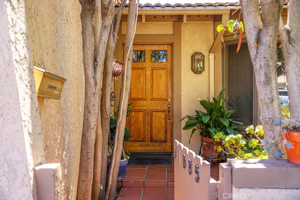 31085 Via San Vicente