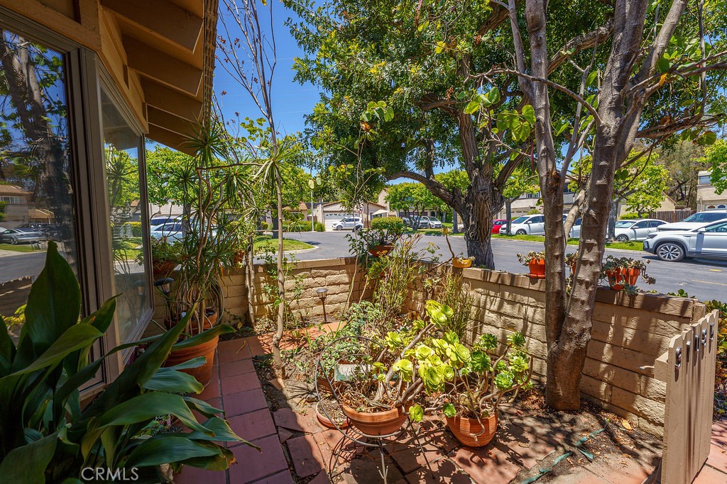 31085 Via San Vicente