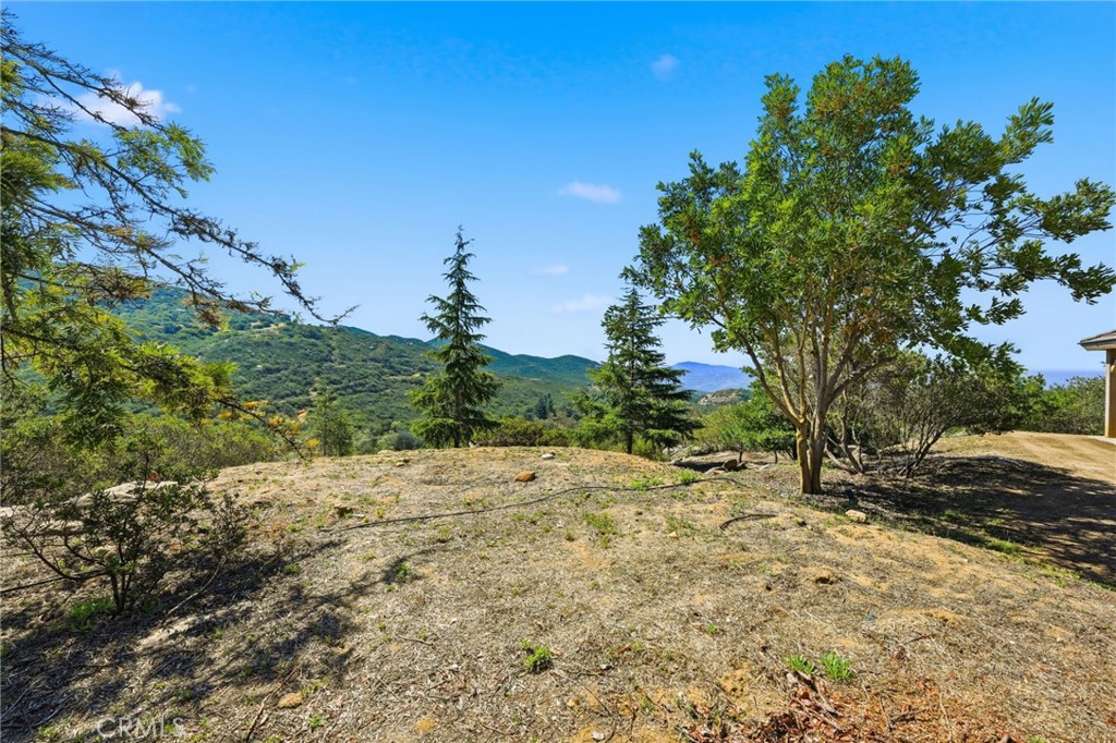 23315 Old Wagon Road
