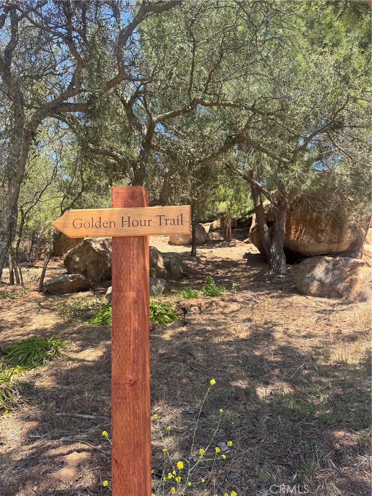23315 Old Wagon Road