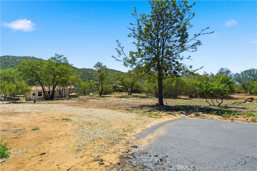 23315 Old Wagon Road