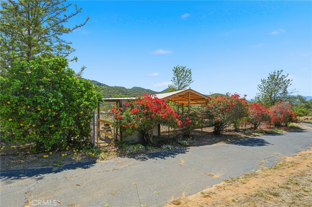 23315 Old Wagon Road