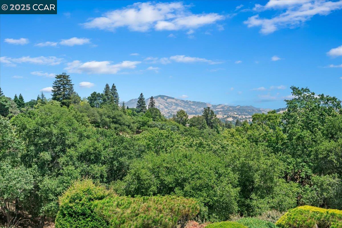 1429 Skycrest Dr # 3