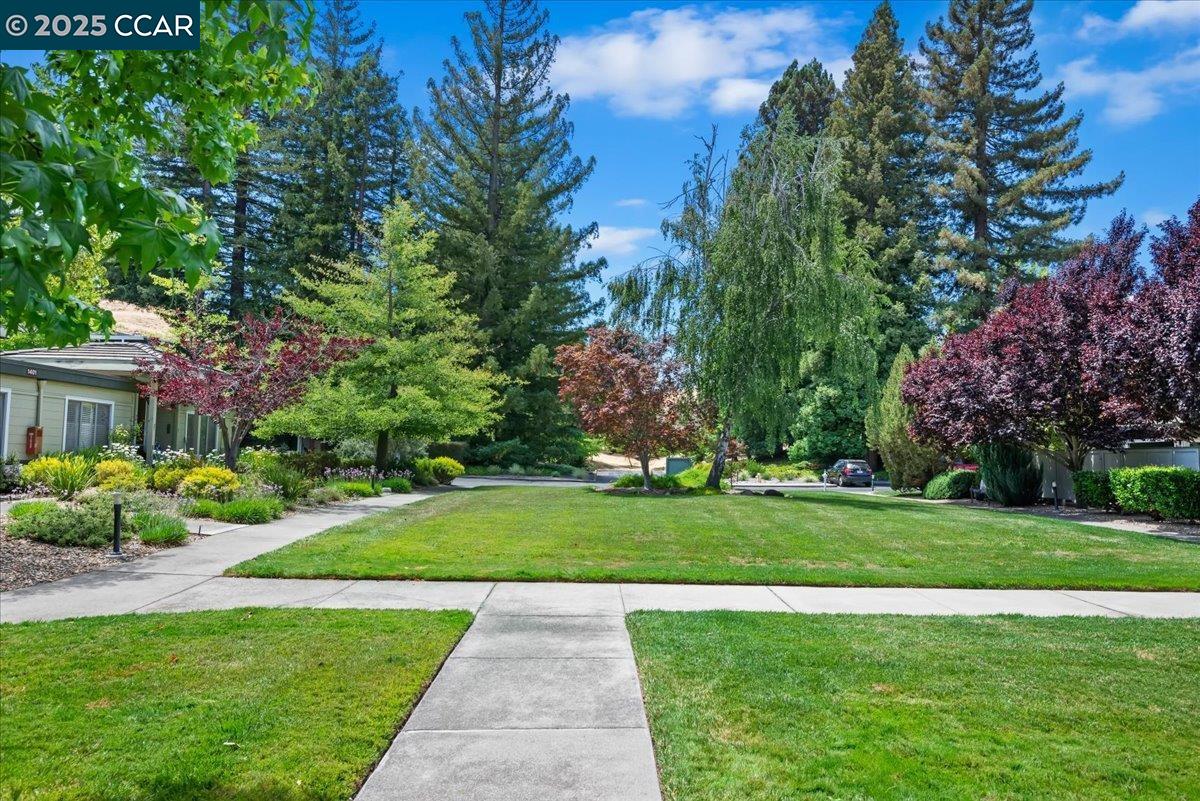 1429 Skycrest Dr # 3