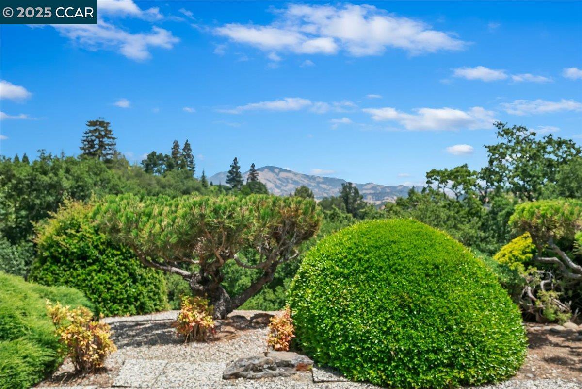 1429 Skycrest Dr # 3