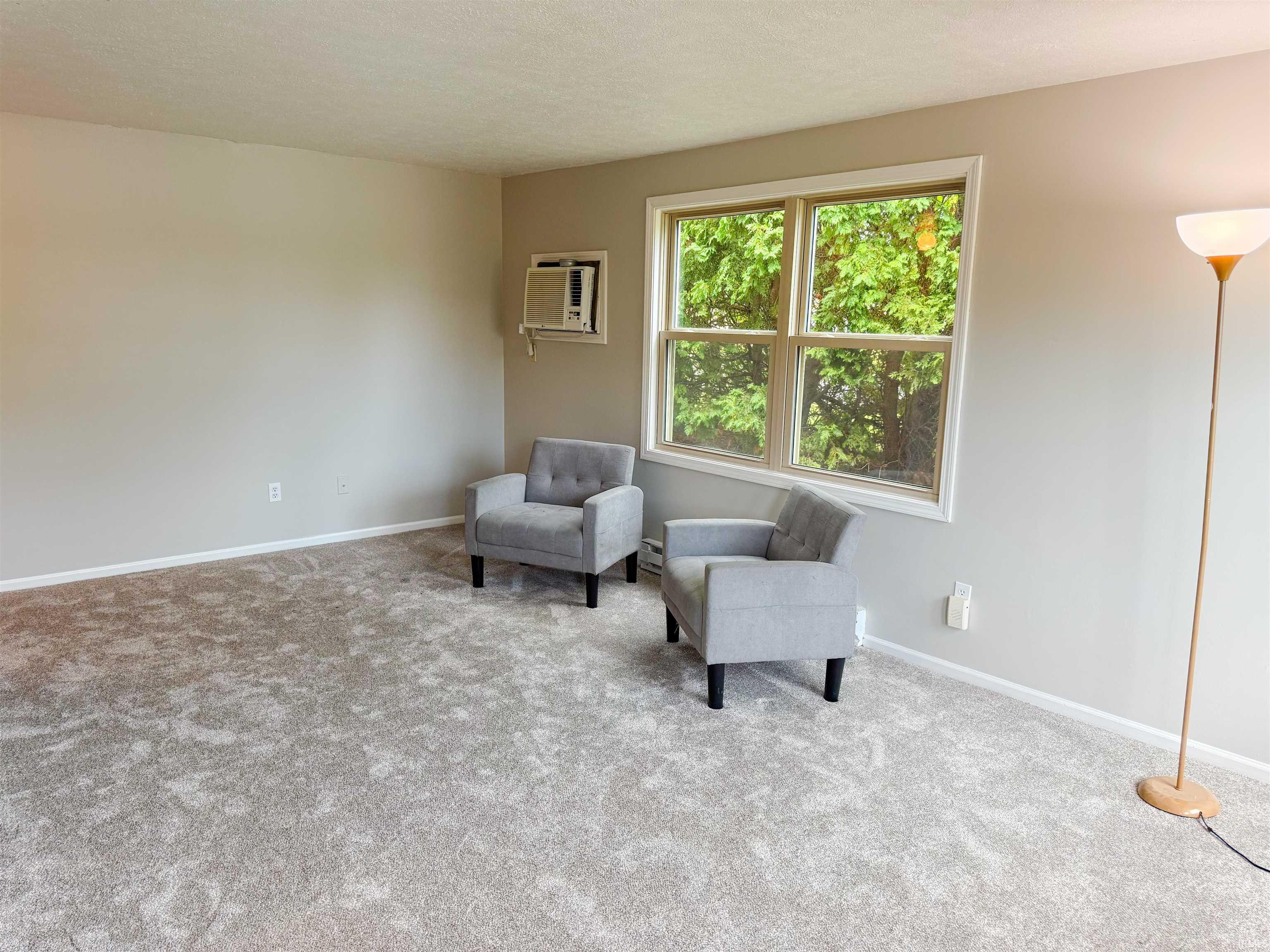 1137 Southhampton Drive