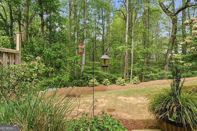 1114 Firethorne Pass