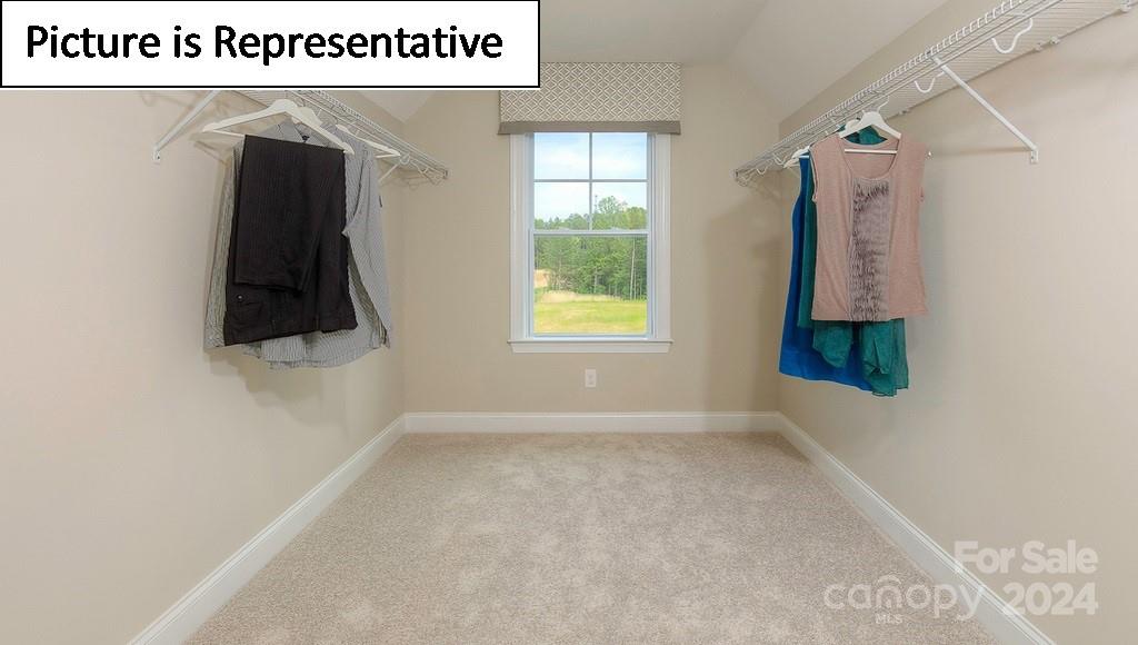 5029 Blue Serenity Court