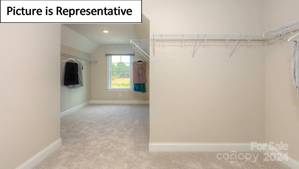 5029 Blue Serenity Court