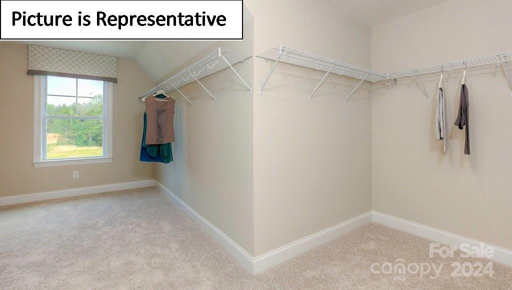5029 Blue Serenity Court