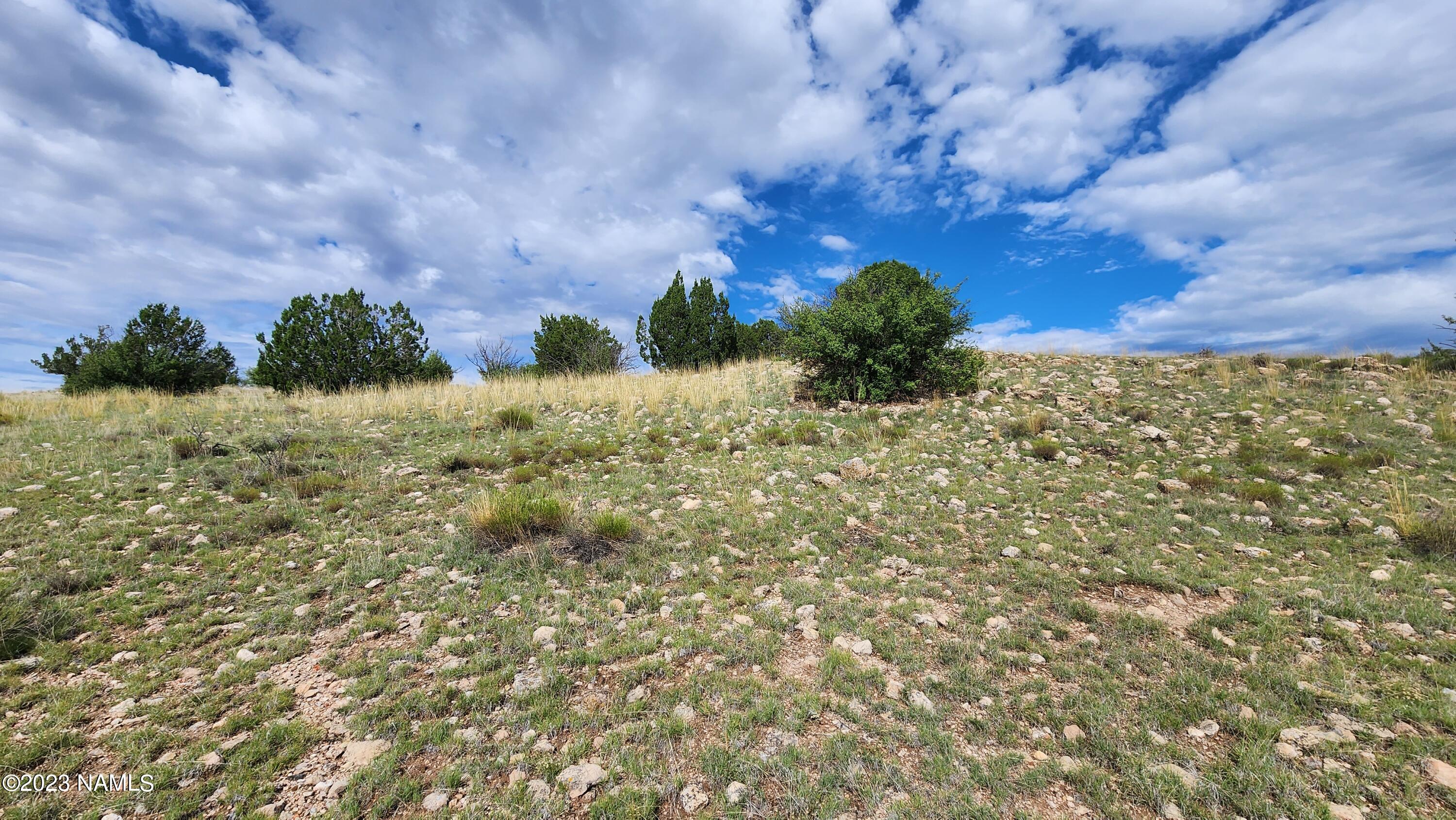 5946 W Clove Hitch Road