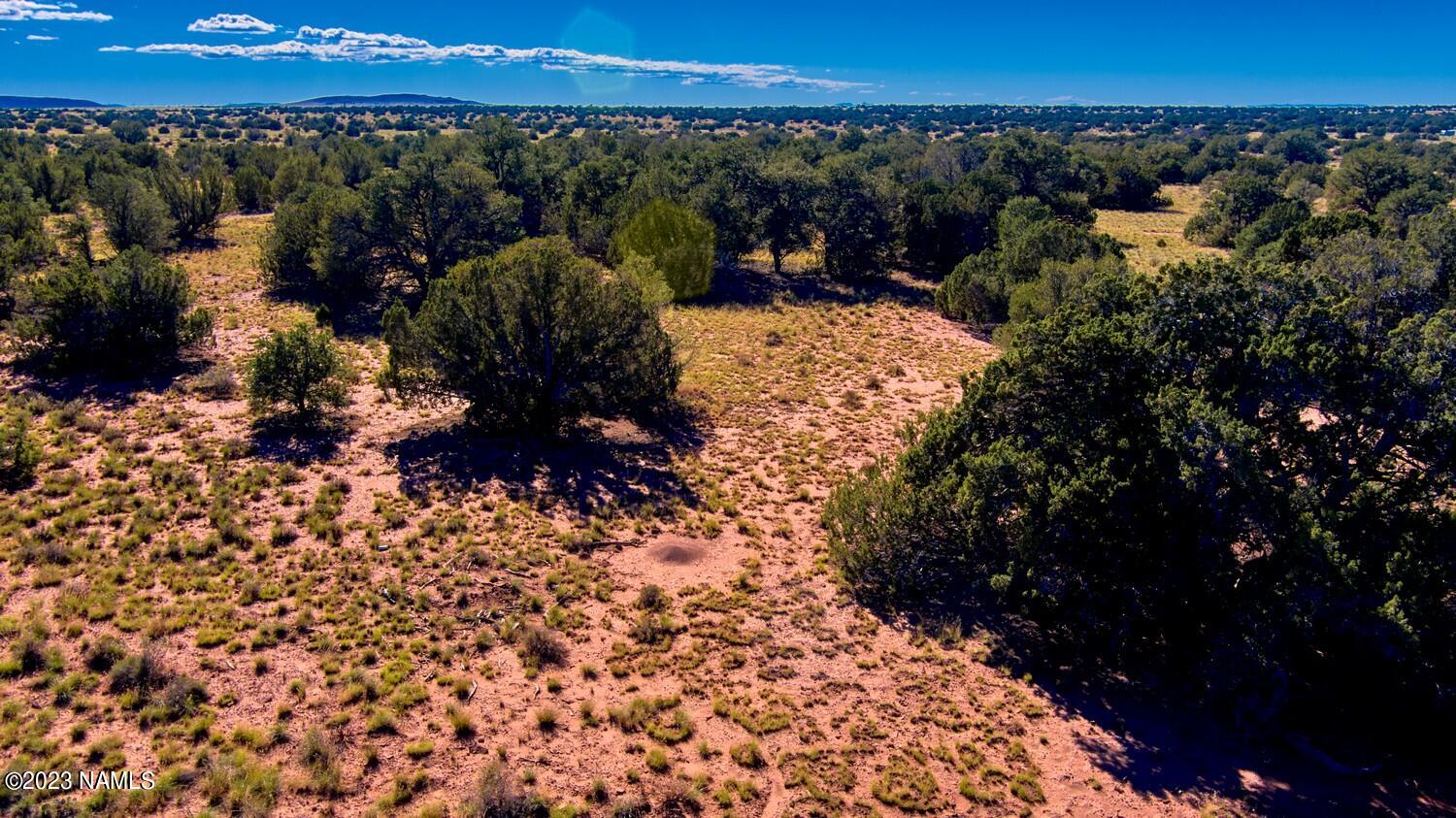 4808 Meadowbrook Drive
