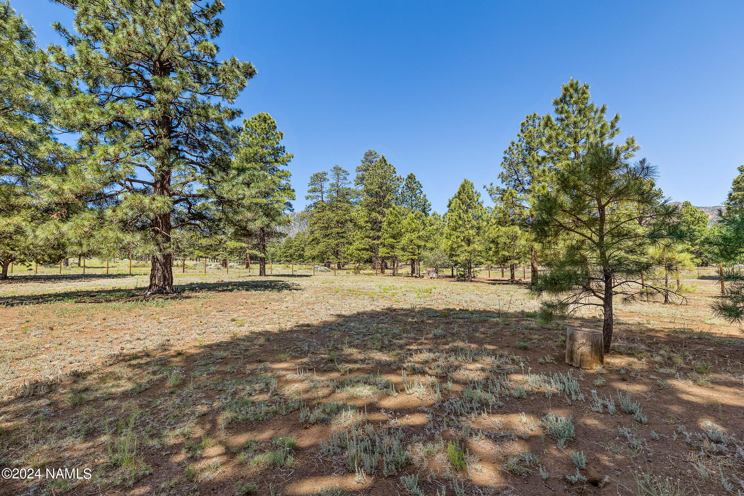 7050 Oakwood Pines Drive