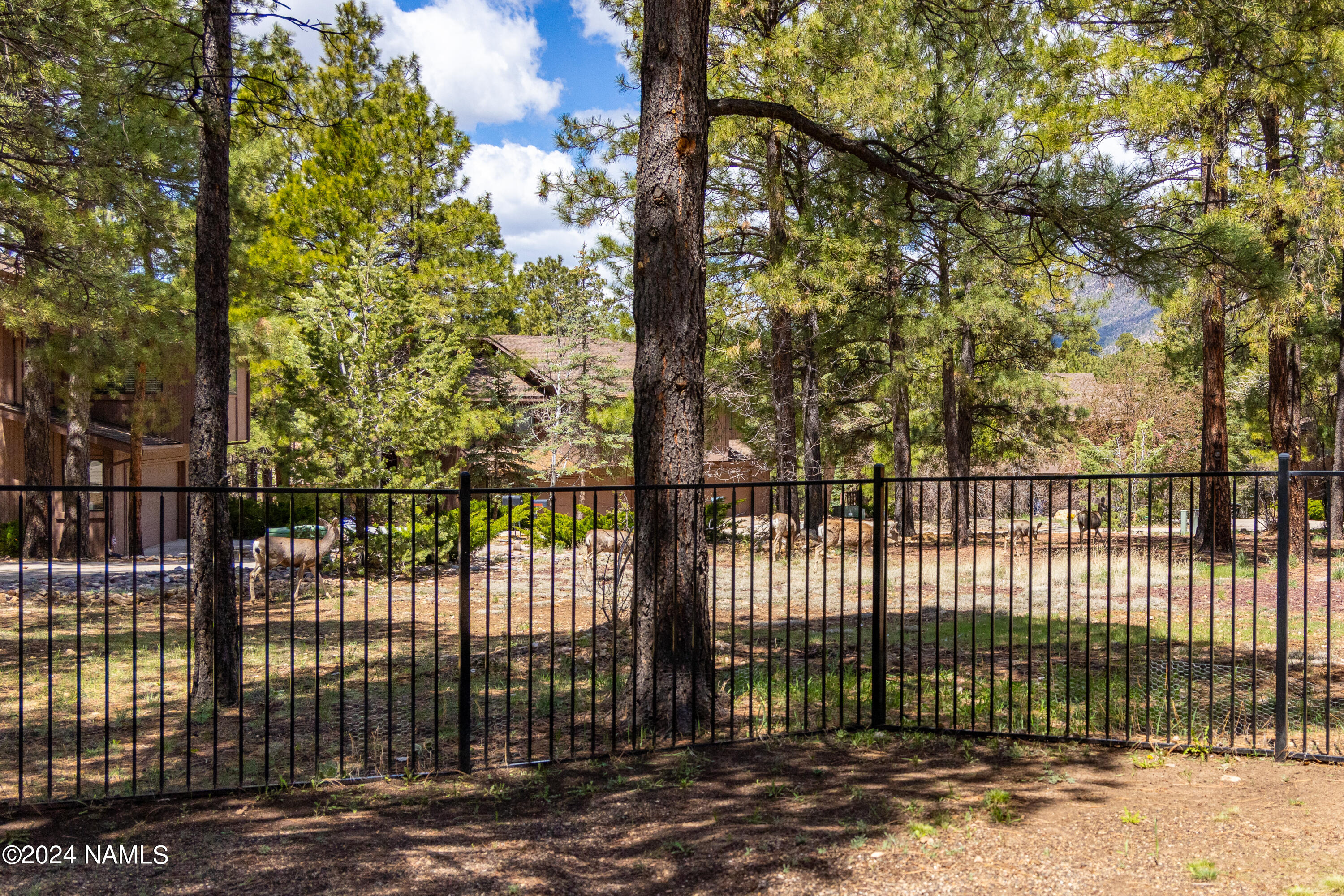 4450 N Country Club Drive
