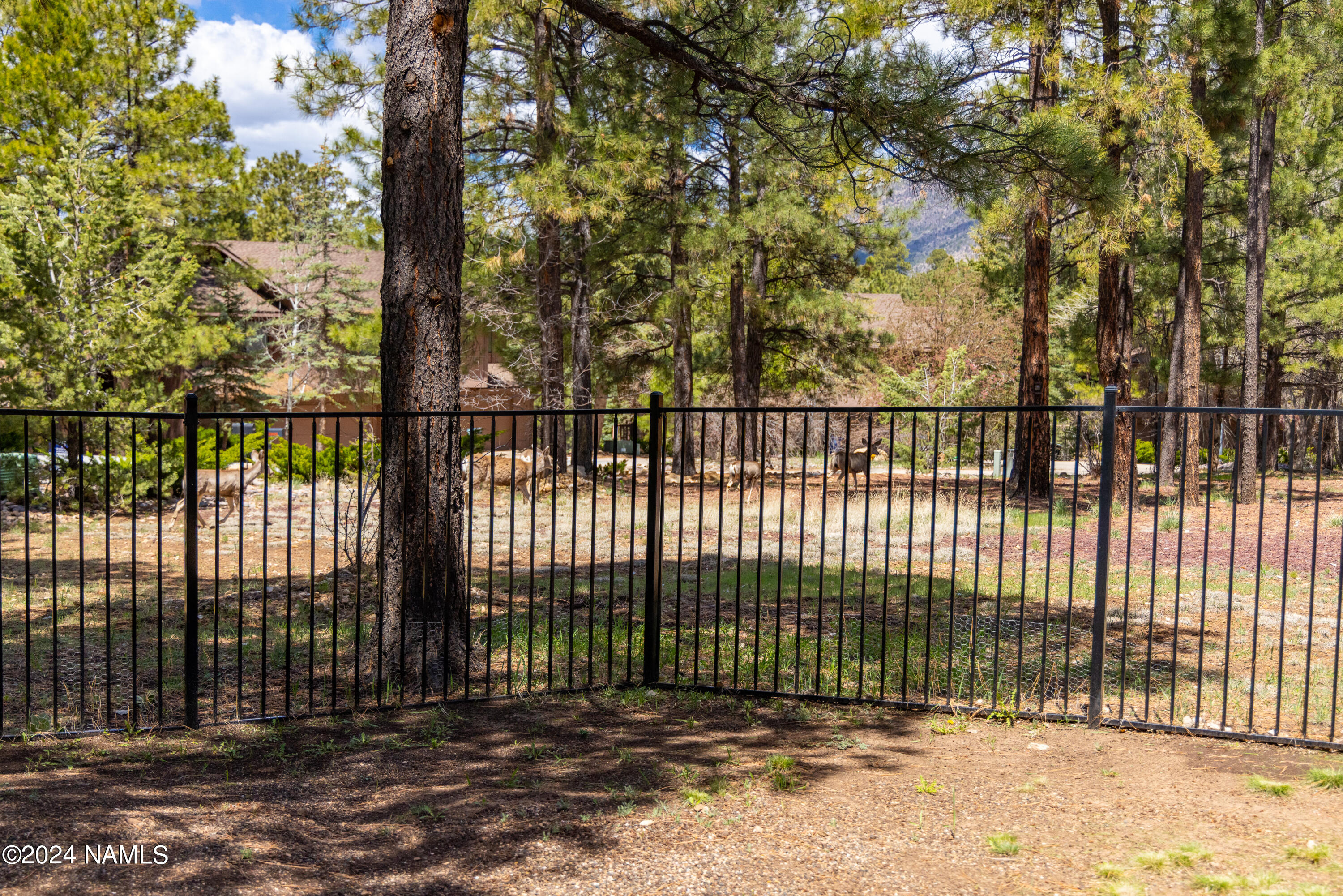 4450 N Country Club Drive