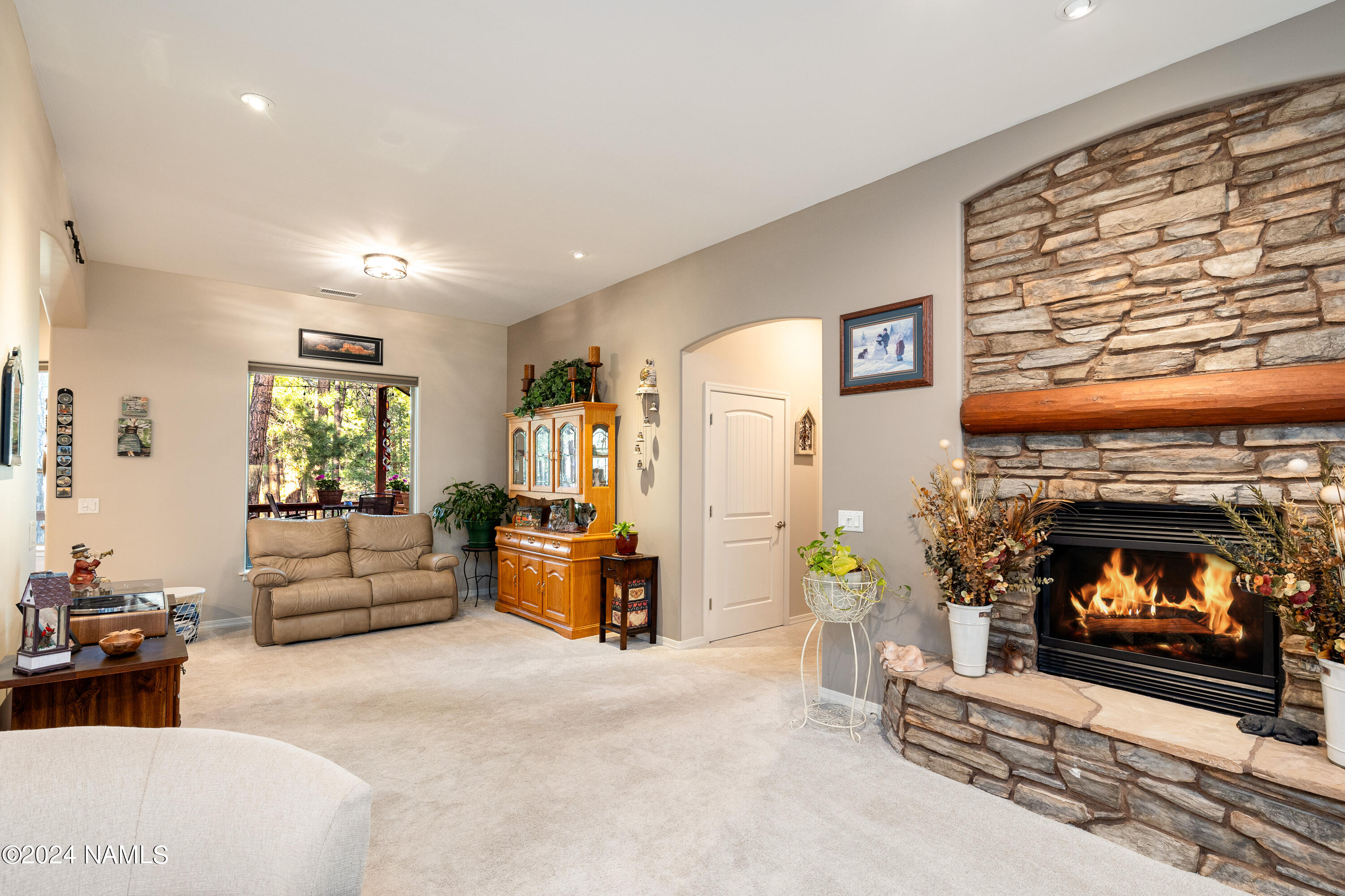 991 S Torrey Pines Drive