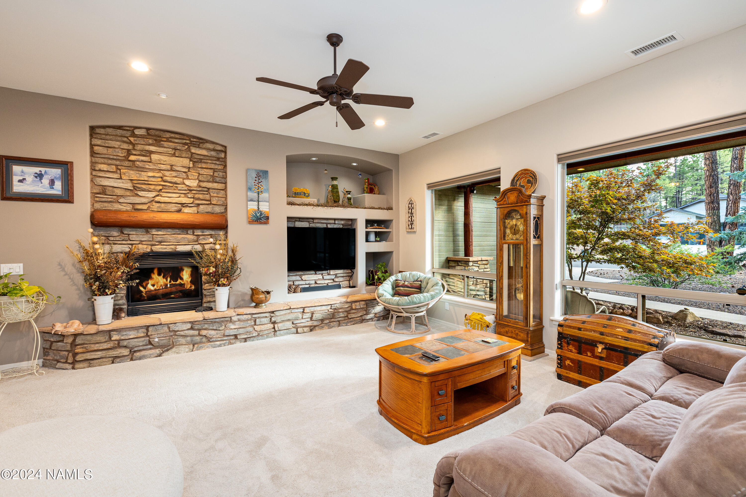 991 S Torrey Pines Drive