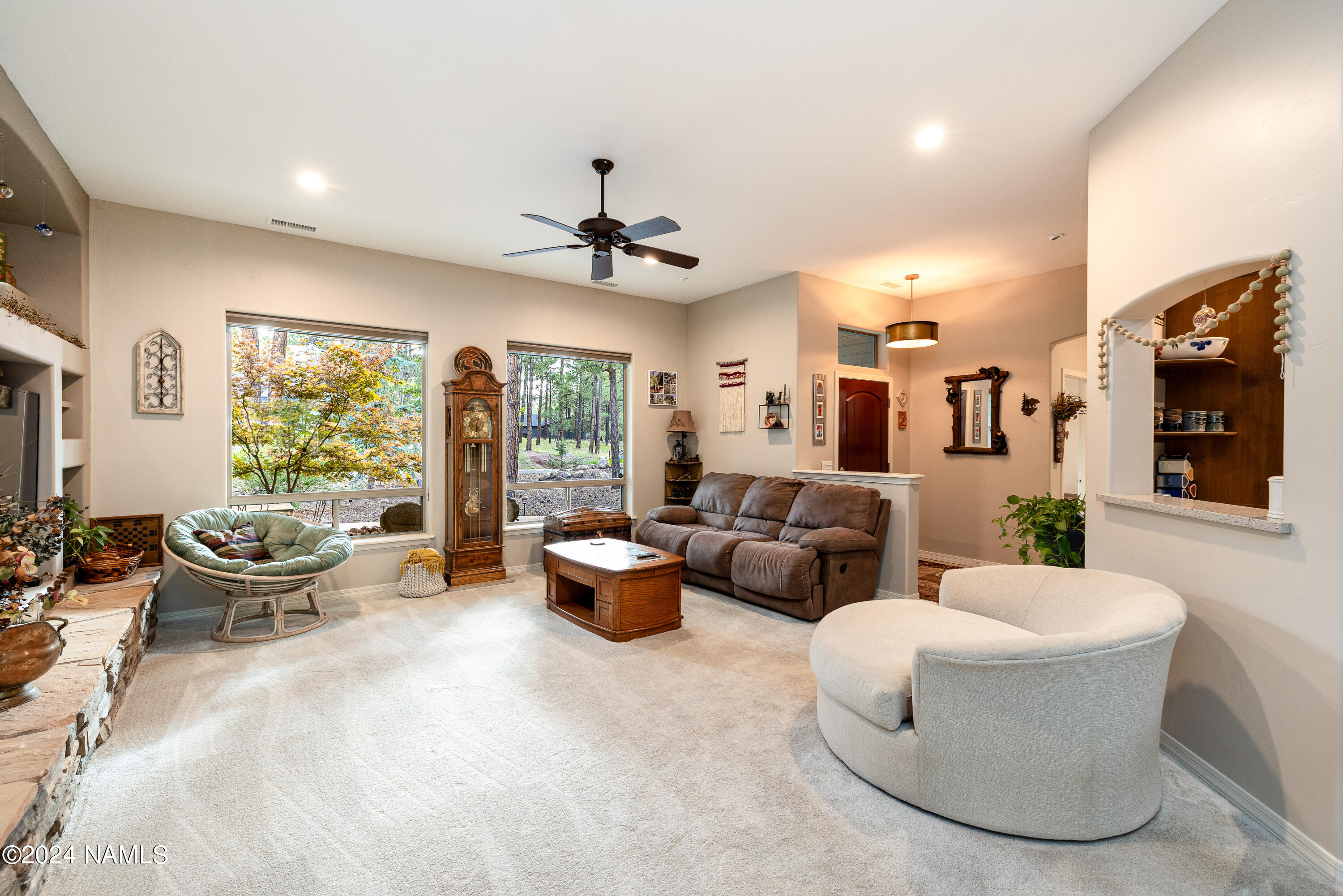 991 S Torrey Pines Drive