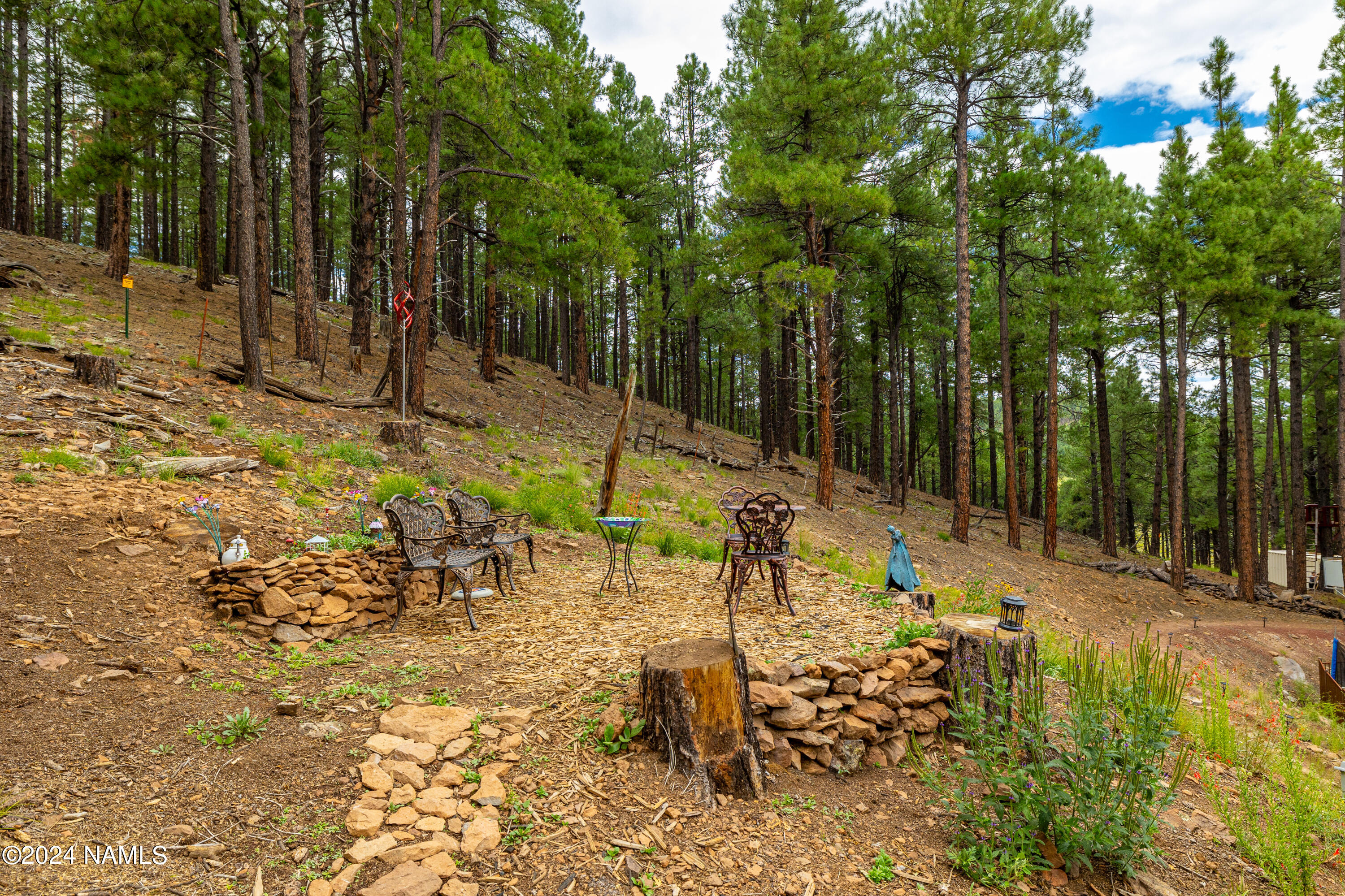 9508 W Hashknife Trail