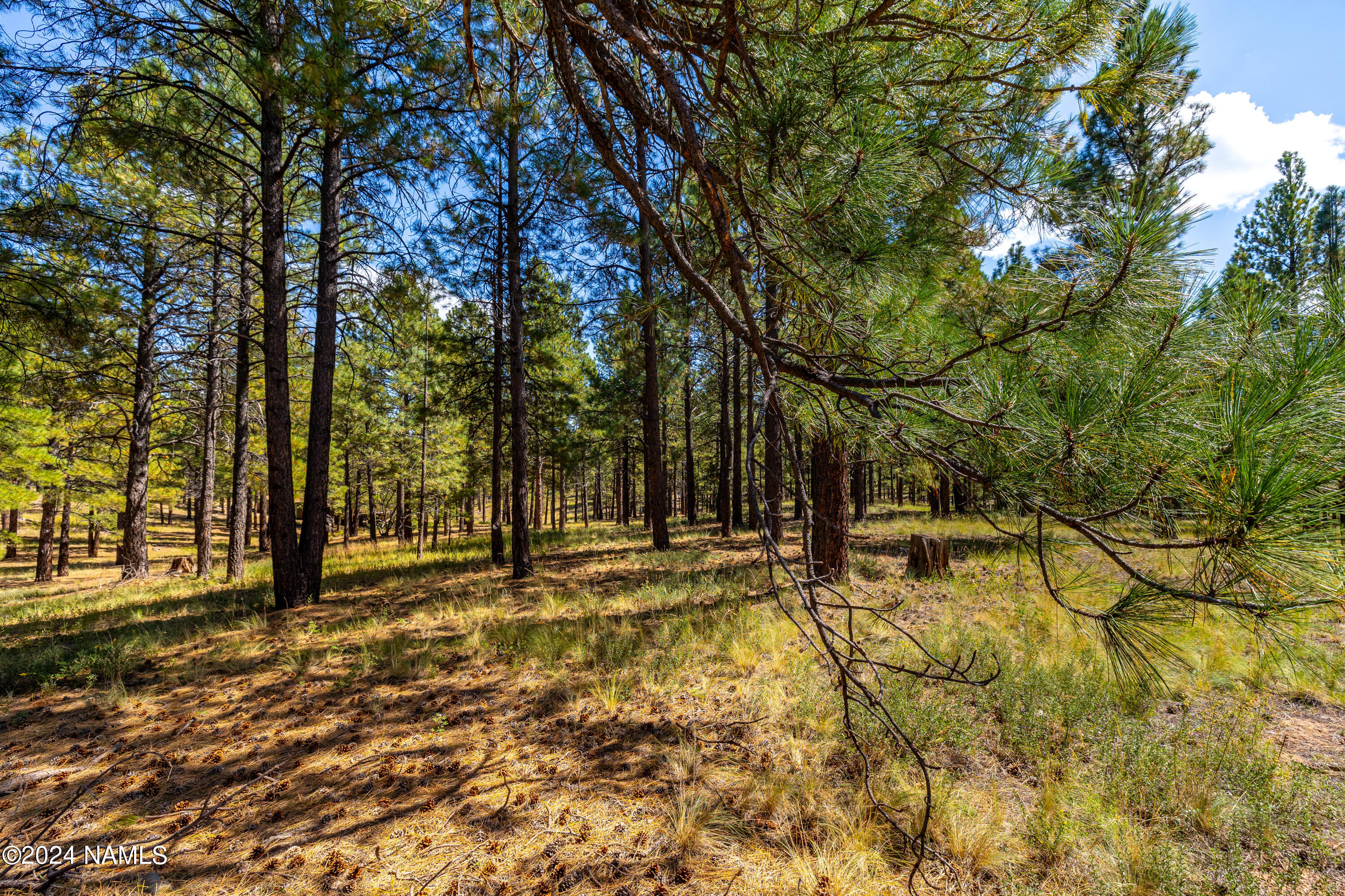 4816 S House Rock Trail