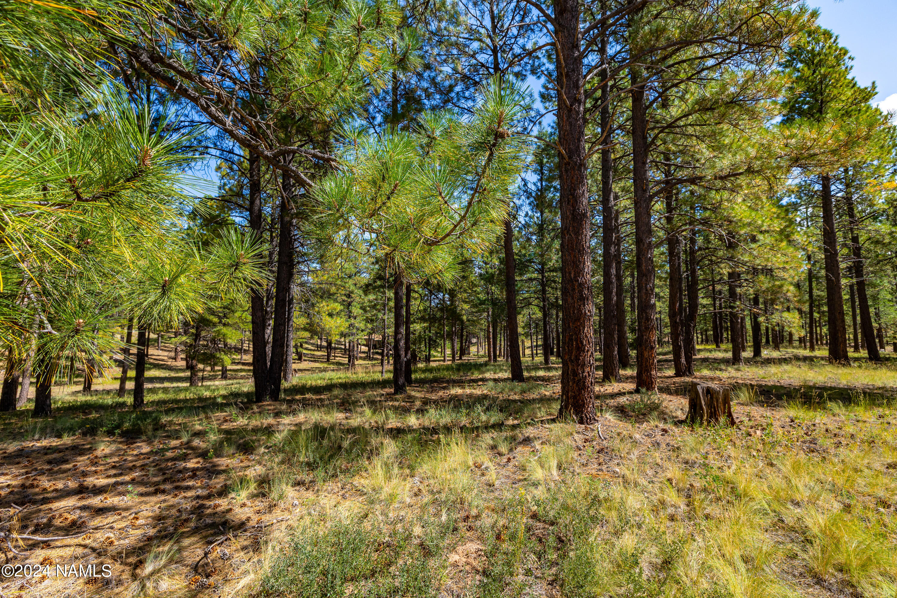 4816 S House Rock Trail