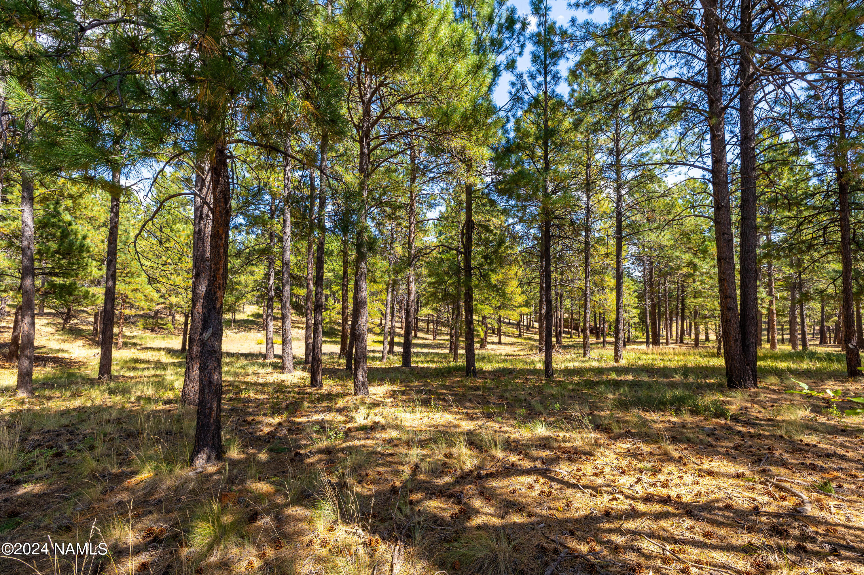 4816 S House Rock Trail